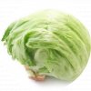 salat ladovy copy