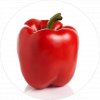 paprika cervena copy