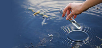 Können Bakterien die Wasserqualität in Teichen und Becken verbessern?