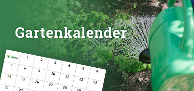 Gartenkalender oder was wann im Garten gesät und geerntet wird
