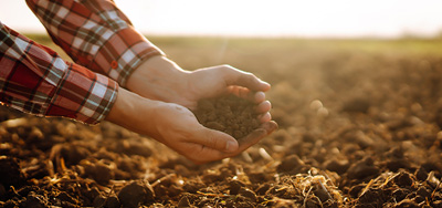 Die Nutzung von Bodenmikroorganismen und natürlichen Stoffen in der Landwirtschaft und im Gartenbau