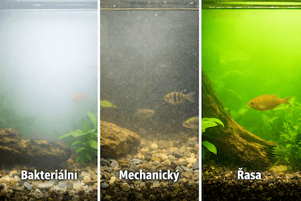 Zakalené akvárium po výměně vody: Nejčastější příčiny a rychlá náprava