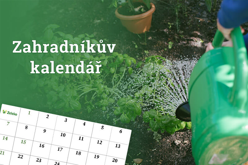 zahradnikuv-kalendar