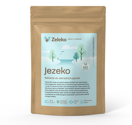 jezeko