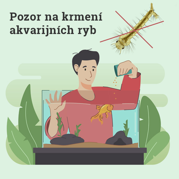 komari-krmeni