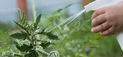 Čo sú to rastlinné biostimulanty a ako pôsobia na rastliny?