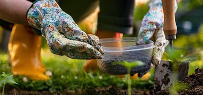 Kvalitná a zdravá úroda začína už pri výsadbe