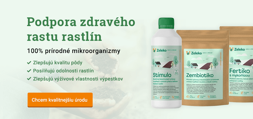 Název Bakterie [Desktop]