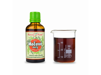 moč.cesty