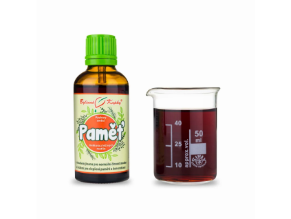 pamět