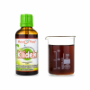 klídek