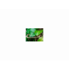 image (21)