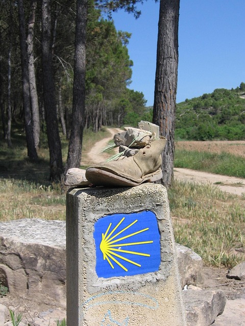 shoe-684919_640