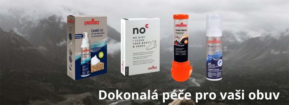 banner-pedag