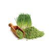 bio hover jecmen prasek.761696527