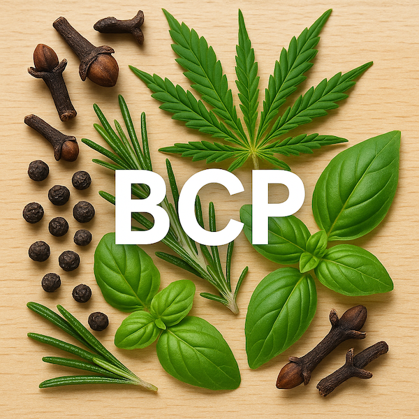 🌿 Rostliny s nejvyšším obsahem BCP: Přírodní zázrak pro tělo i mysl