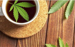CBD čaj - účinky a zkušenosti