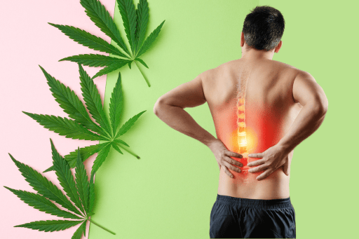 S CBD přírodně proti zánětu