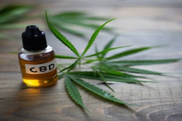 Kde koupit CBD olej? Zelená Země!