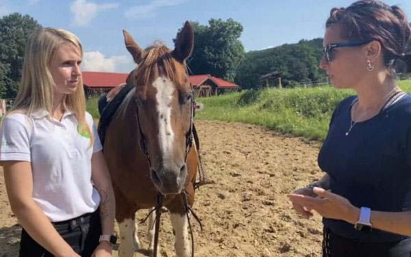 Rozhovor s trenérkou: Konopí ve výživě koní