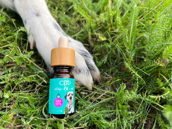 Nejlepší CBD kapky pro psy a zvířata