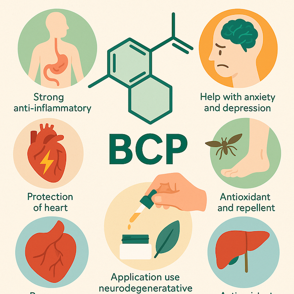 Účinky BCP - jak účinkuje betakarofylen?