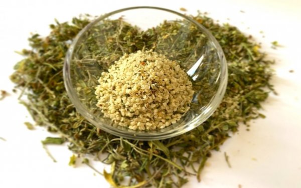 Vše, co potřebujete vědět o konopných semínkách