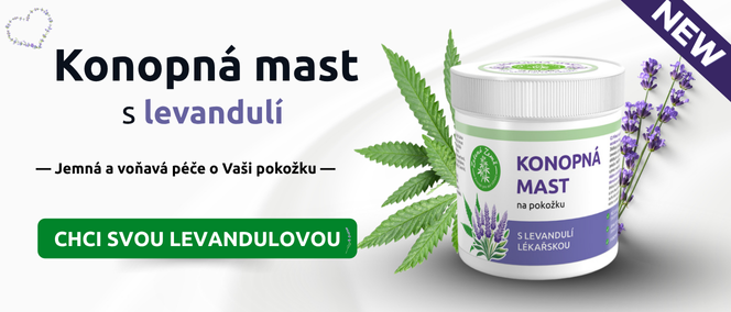 Levandule mastička