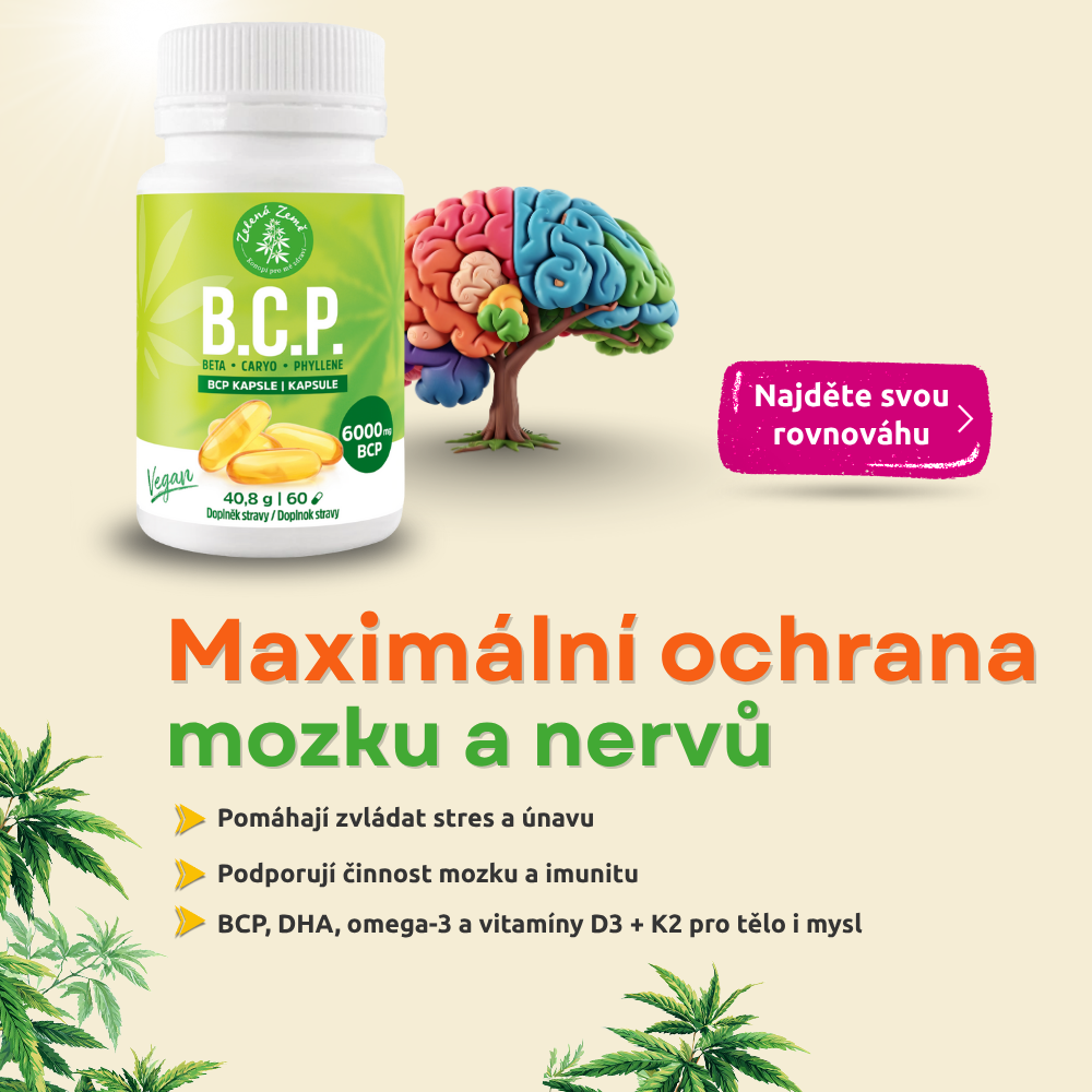 BCP banner – mobil