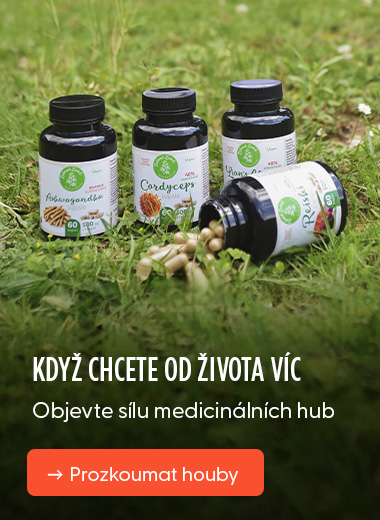 Když chcete od života víc