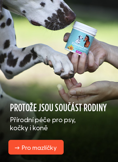 Protože jsou součástí rodiny