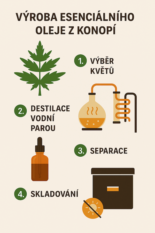 Infografika-vyroba-esencialni-olej