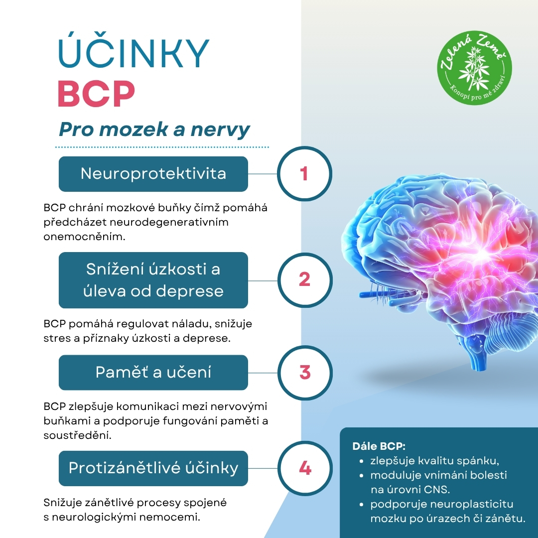 BCP_mozek