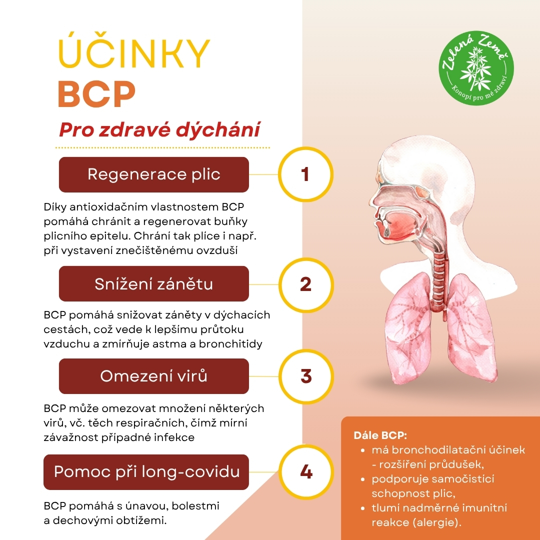 BCPplice