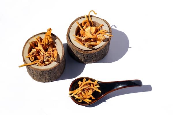 Cordyceps-houby-2
