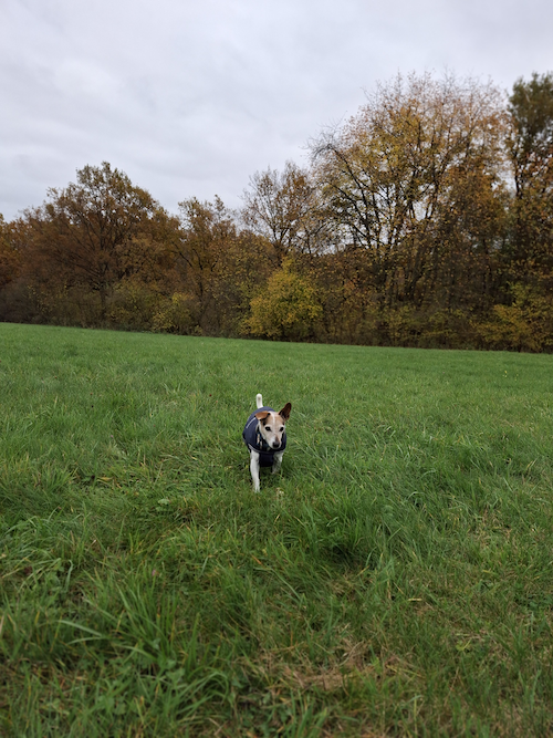 JRT