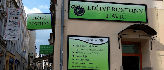 lecive-rostliny-havic-min