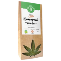 Herbata konopna