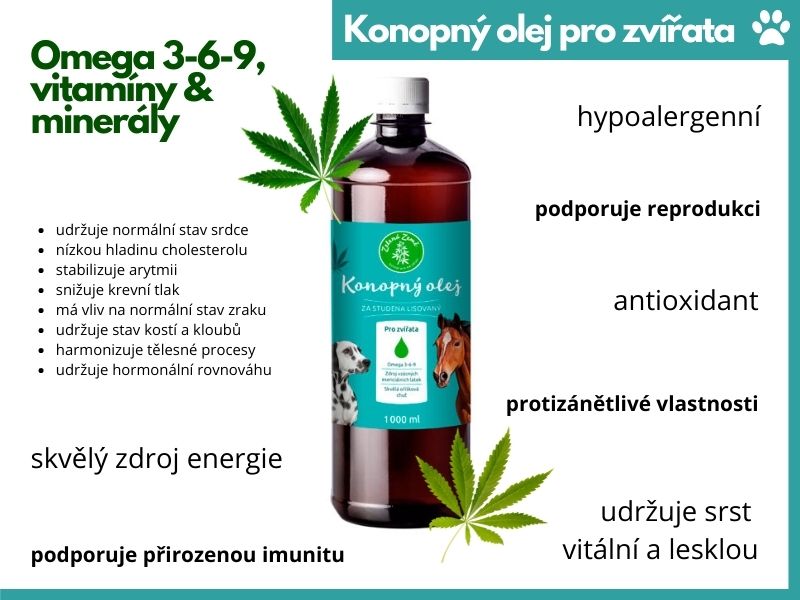 účinky_konopného_oleje_pro_zvířata