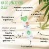 Na co uzivat 10 cbd olej