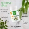 CBD kapsle 600 mg CBD - 60 ks