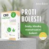 Naplasti web 2