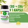 CBD cbg kapsle