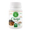 Chaga kapsle