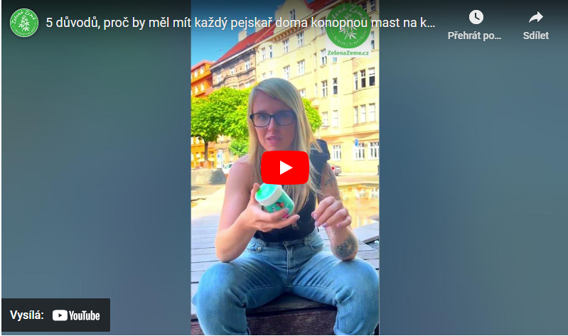 5 dôvodov, prečo by mal mať každý psičkár doma konopnú masť na koži