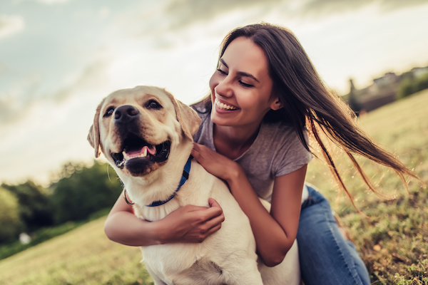Čo dať psovi proti bolesti?