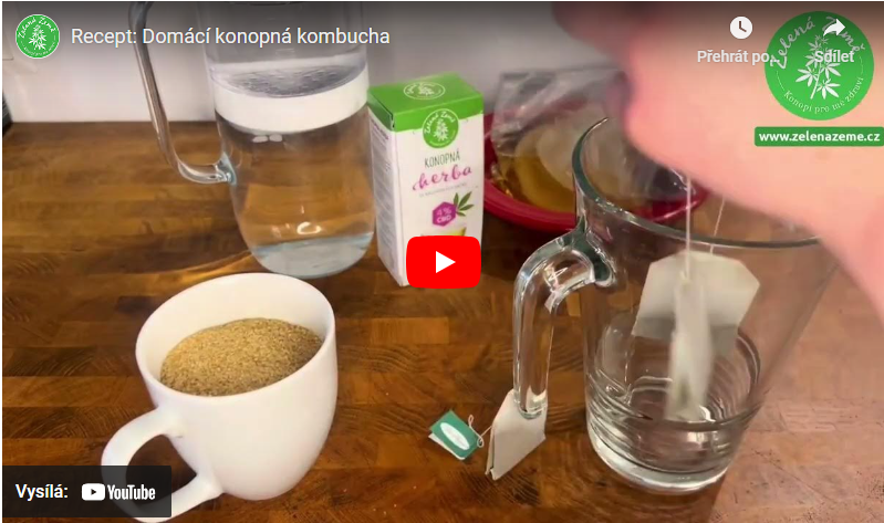 Recept: Domáca konopná kombucha