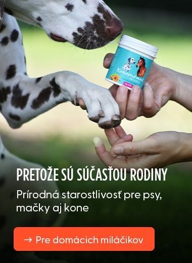 Pretože sú súčasťou rodiny