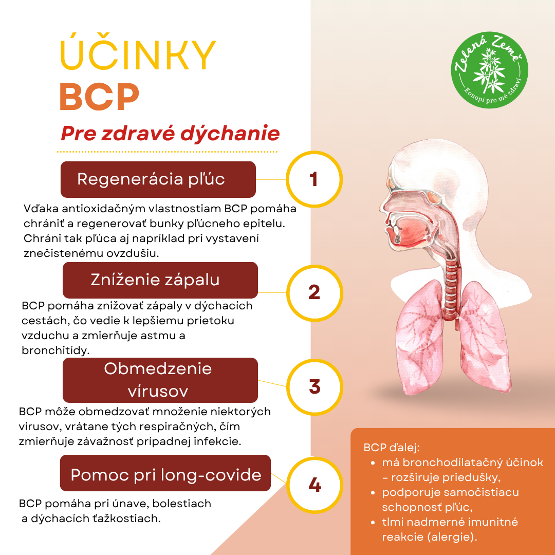 BCPplice
