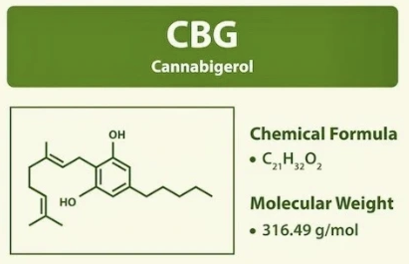 CBG vzorec